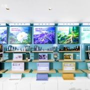 奥运冠军为何力荐丸碧?她的答案,藏着年入百万的商机